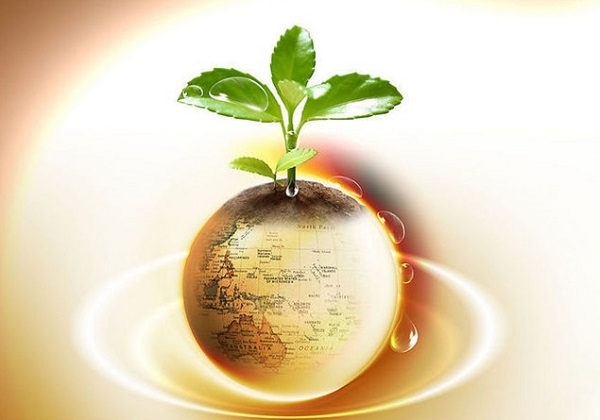 美联储停止量化紧缩：政策紧缩周期告一段落